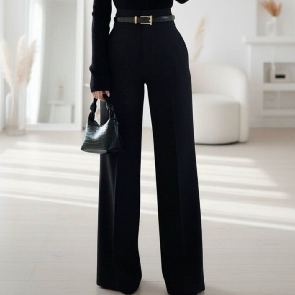 NWT Express Classic Wide Leg High Rise Pants With Side Zipper